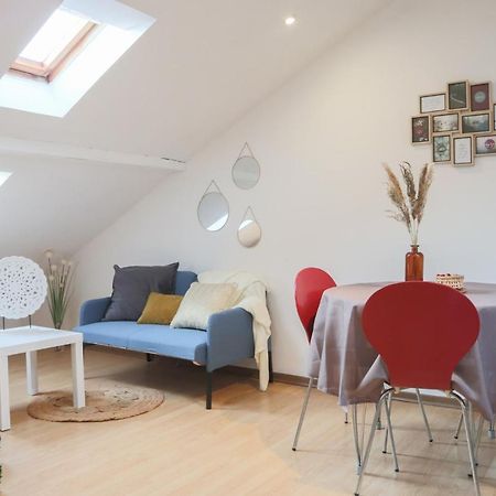 Le Petit Loft, Mulhouse Centre Apartment Luaran gambar