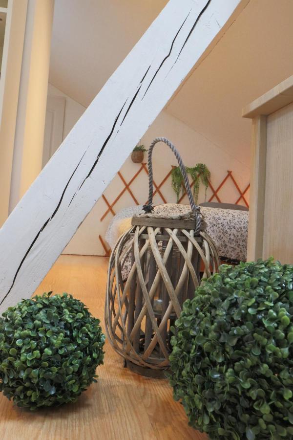 Le Petit Loft, Mulhouse Centre Apartment Luaran gambar