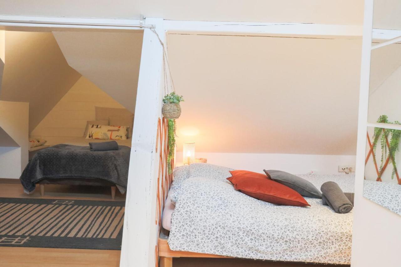 Le Petit Loft, Mulhouse Centre Apartment Luaran gambar