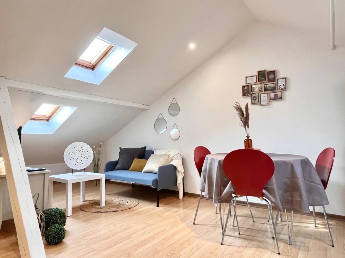 Le Petit Loft, Mulhouse Centre Apartment Luaran gambar