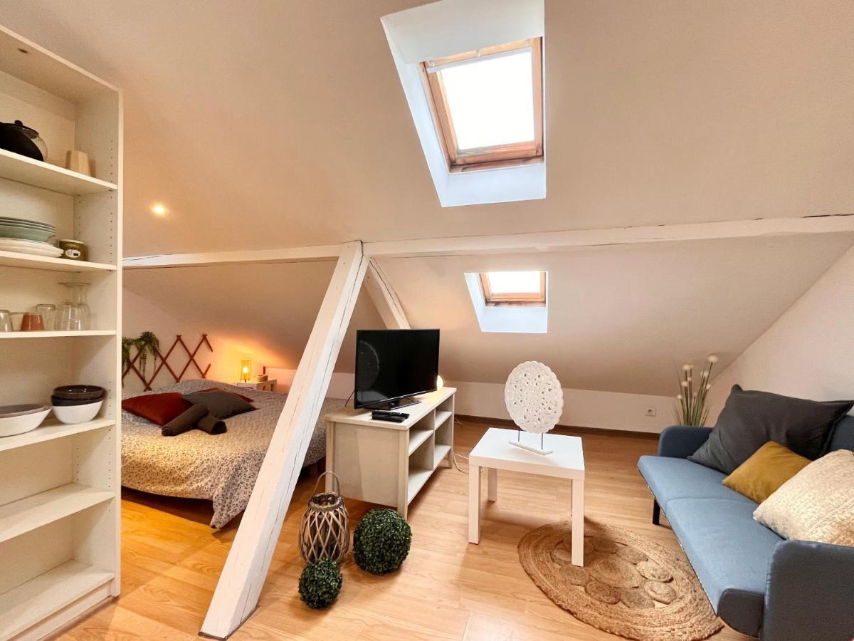 Le Petit Loft, Mulhouse Centre Apartment Luaran gambar