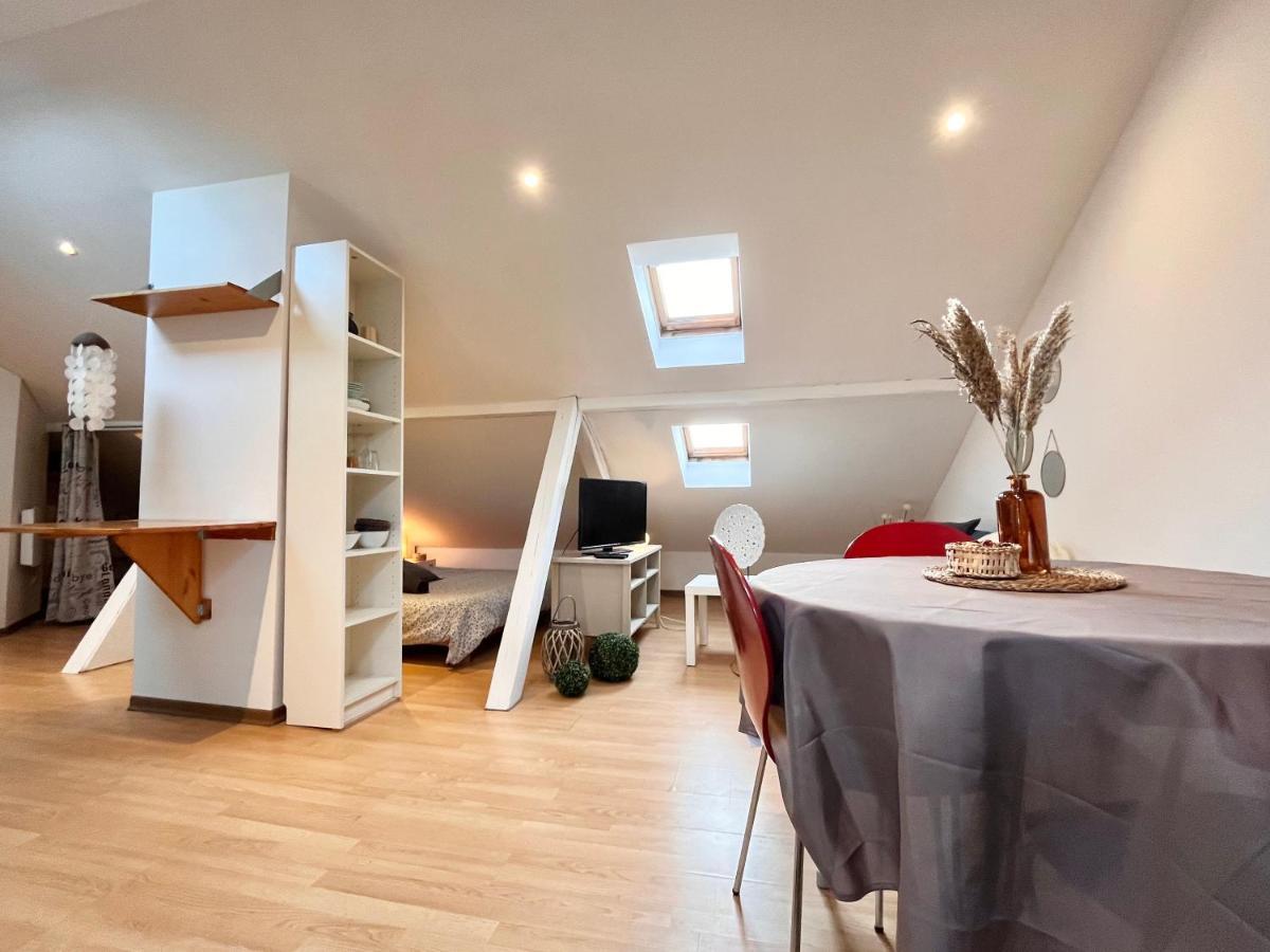 Le Petit Loft, Mulhouse Centre Apartment Luaran gambar