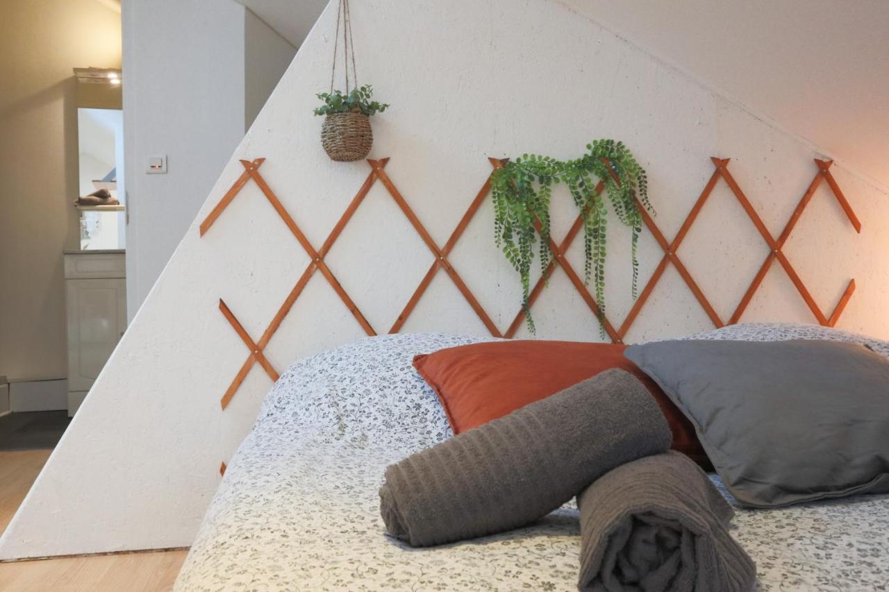 Le Petit Loft, Mulhouse Centre Apartment Luaran gambar
