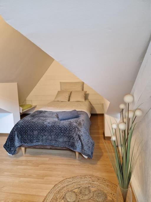 Le Petit Loft, Mulhouse Centre Apartment Luaran gambar