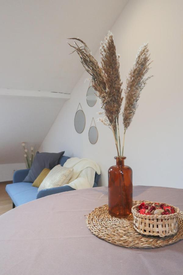 Le Petit Loft, Mulhouse Centre Apartment Luaran gambar