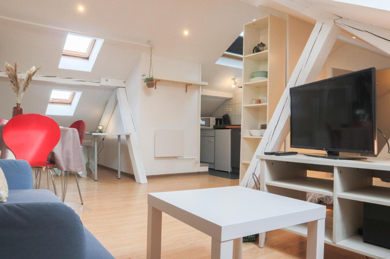 Le Petit Loft, Mulhouse Centre Apartment Luaran gambar