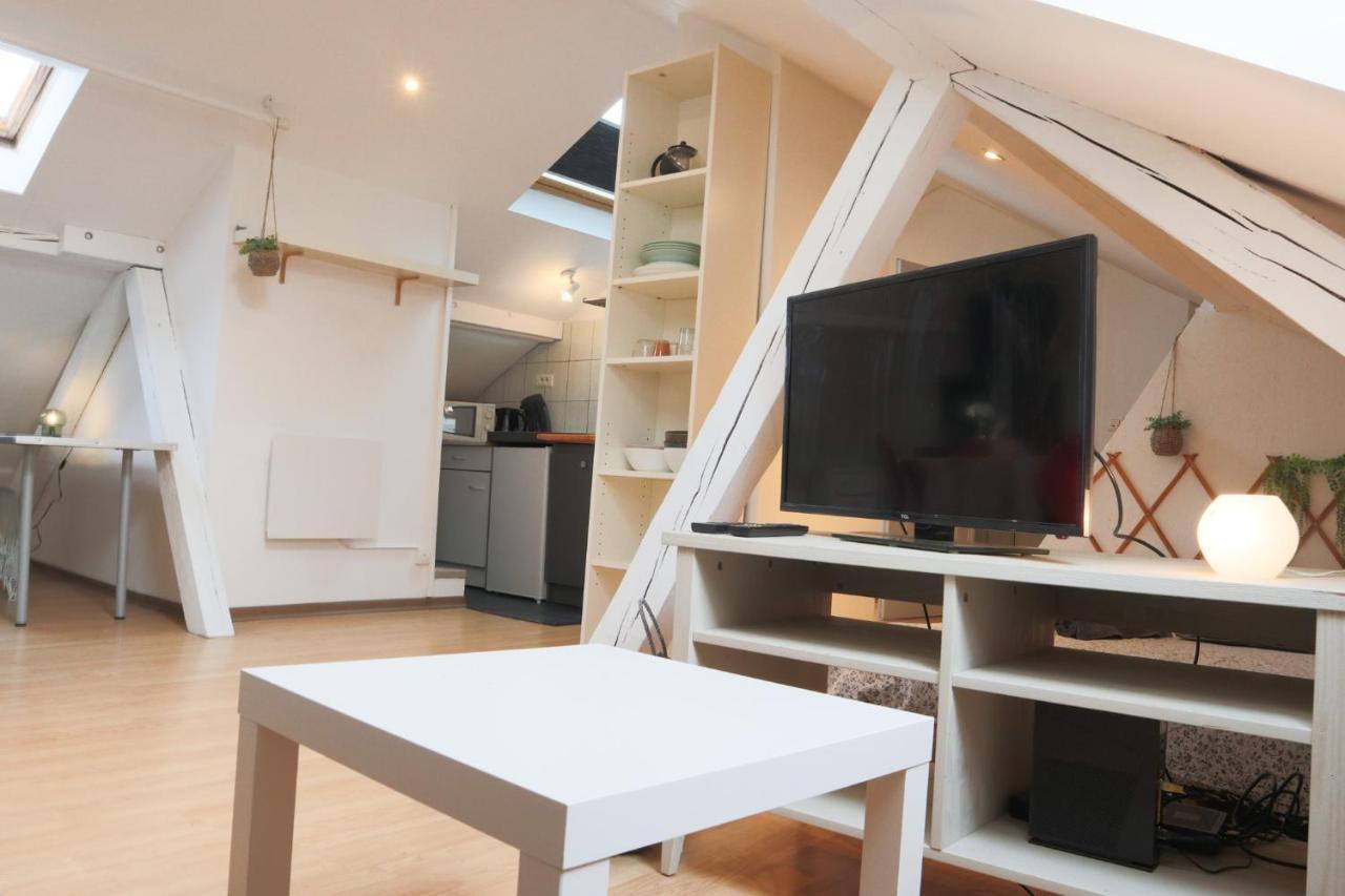 Le Petit Loft, Mulhouse Centre Apartment Luaran gambar