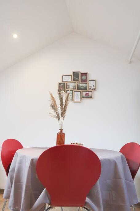 Le Petit Loft, Mulhouse Centre Apartment Luaran gambar