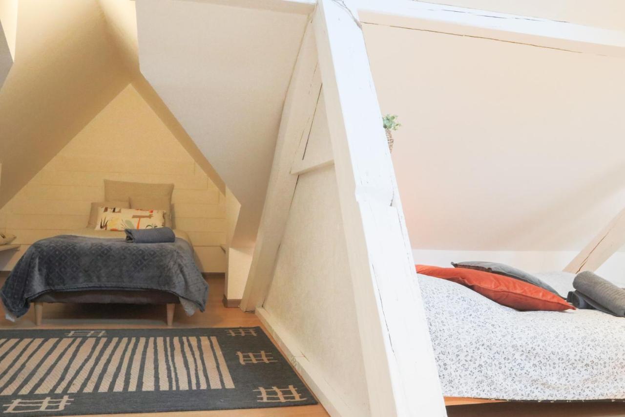 Le Petit Loft, Mulhouse Centre Apartment Luaran gambar